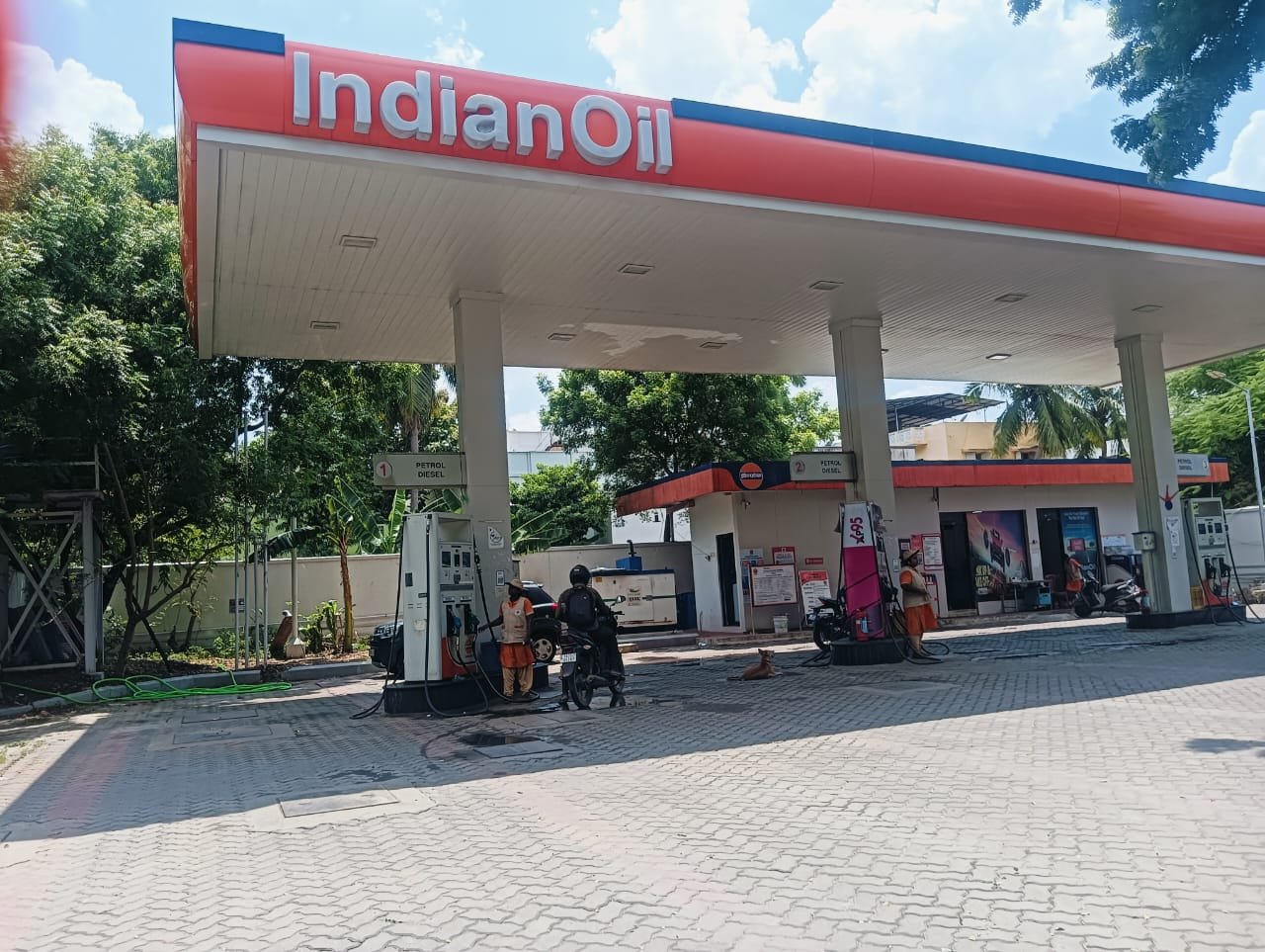 WhatsApp Image 2024-09-18 at 1.08.28 PM